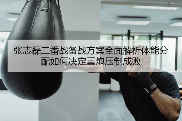 张志磊二番战备战方案全面解析体能分配如何决定重炮压制成败